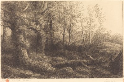 In het bos Lisiere de foret door Alphonse Legros