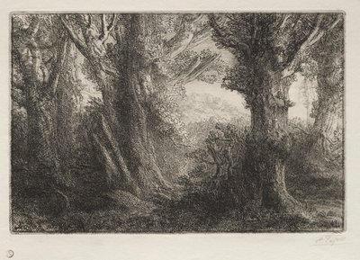 In het bos bij Conteville door Alphonse Legros