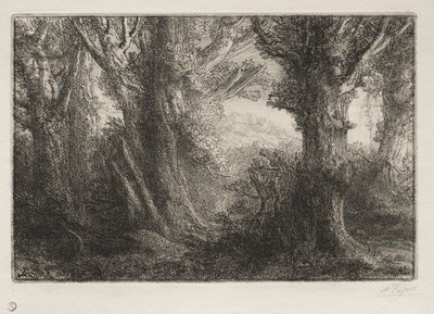 In het Bos bij Conteville door Alphonse Legros