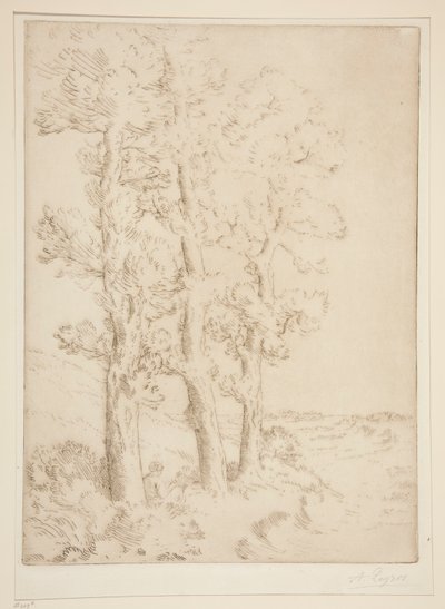 La liseuse: La lecture sous les arbres (Vrouw Leest: Les onder de Bomen) door Alphonse Legros