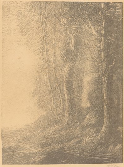 Landschap Paysage door Alphonse Legros