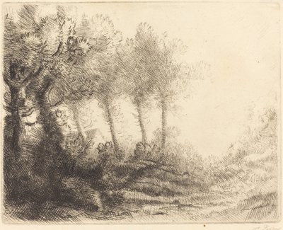 Landschap Paysage door Alphonse Legros