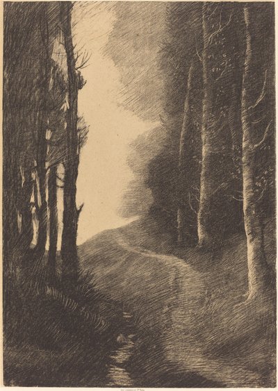 Landschap met berkenbomen door Alphonse Legros