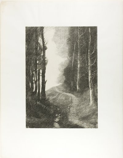 Landschap met berkenbomen door Alphonse Legros