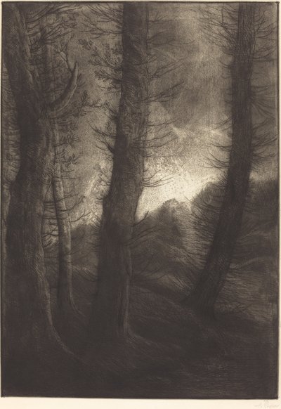 Grote bomen gezien tegen de zon Les grandes arbres: Effet du soir door Alphonse Legros