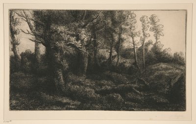 Rand van het Bos door Alphonse Legros