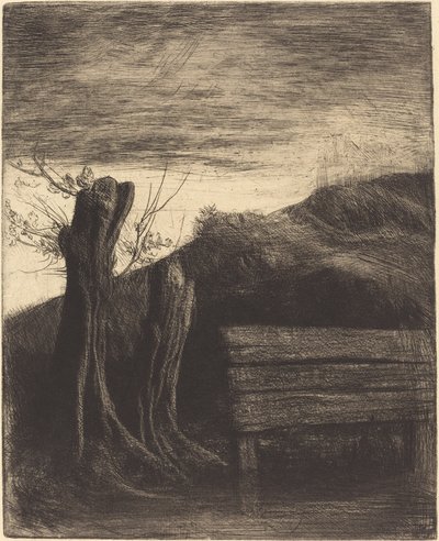 Knotwilgen door Alphonse Legros