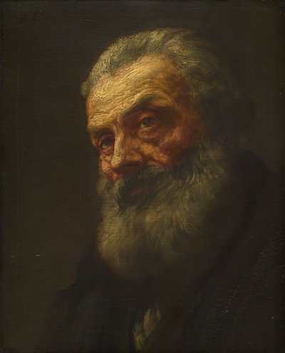 Portret van een oude man, eind 19e-begin 20e eeuw door Alphonse Legros