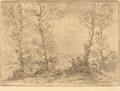 Zalmvisser (Le pecheur du saumon) door Alphonse Legros