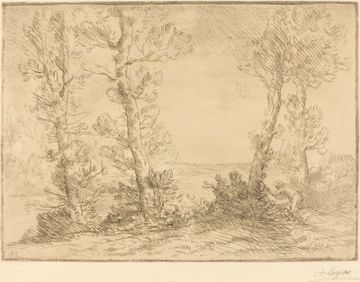 Zalmvisser Le pecheur du saumon door Alphonse Legros