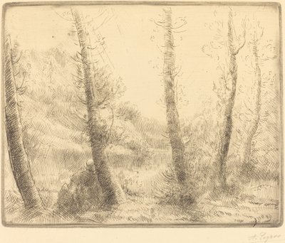 Klein meer door Alphonse Legros