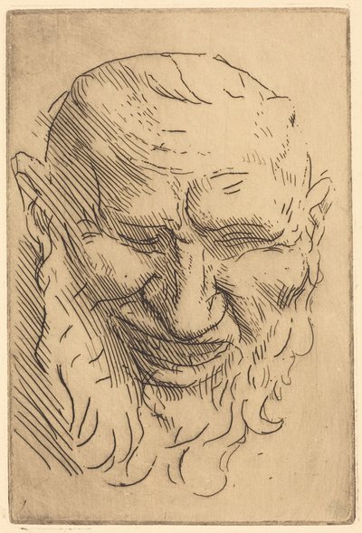  door Alphonse Legros