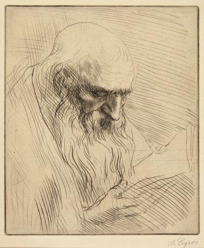  door Alphonse Legros