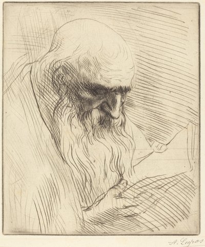  door Alphonse Legros