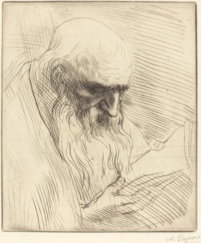 Studie van het Hoofd van een Man die Leest Etude de tete d