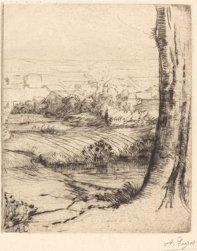 Uitzicht op riet door Alphonse Legros