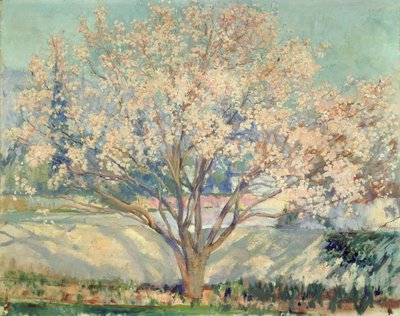 Amandelboom in Bloei door Alson Skinner Clark