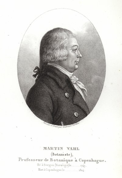 Martin Vahl door Ambroise Tardieu