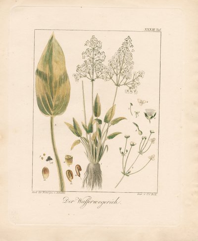  door Ambrosius Gabler