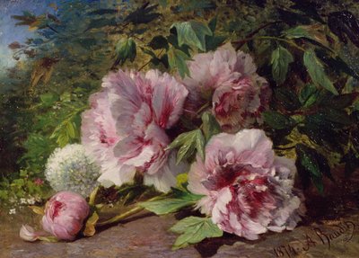 Studie van Pioenen, 1874 door Amedee Baudit