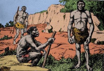 Prehistorie: voorstelling van Homo rhodesiensis of man van Broken hill, voorouder van Homo sapiens, wiens fossielen werden ontdekt in Rhodesië (het huidige Zambia in Afrika). Tekening door A. Forestier. DR door Amedee Forestier