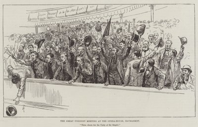 De grote unionistische bijeenkomst in het Opera-House, Haymarket door Amedee Forestier