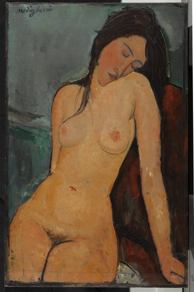 Vrouwelijk naakt, ca.1916 door Amedeo Modigliani