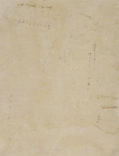 Schets van Minnie Pinniken in de Banketbakkerij door Amedeo Modigliani