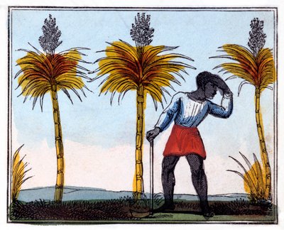 Suikerriet snijden, 1826 door Amelia Alderson Opie