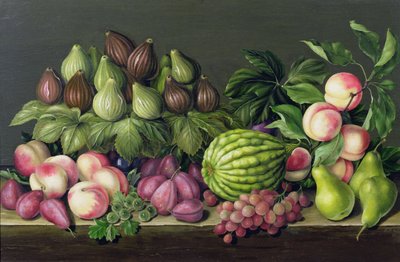 Vijgen, meloen en kruisbessen, 1998 door Amelia Kleiser
