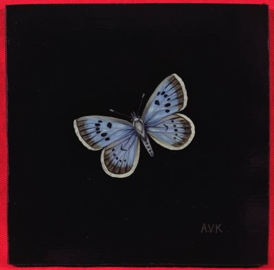 Grote blauwe vlinder, 2000 door Amelia Kleiser