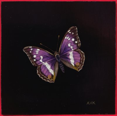 Purperen keizer vlinder, 2000 door Amelia Kleiser