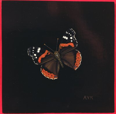 Atalanta vlinder, 2001 door Amelia Kleiser