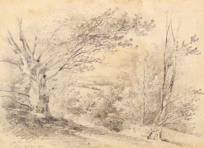 Bromley Hill door Amelia Long