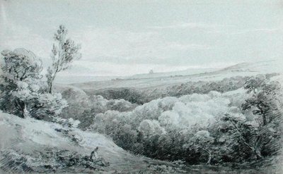 Whitby Abbey, vanaf Mulgrave door Amelia Long