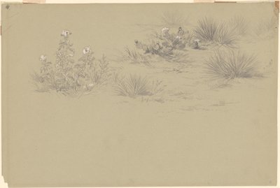 Bloeiende struik en woestijnplanten door American 19th Century after John Frederick Kensett