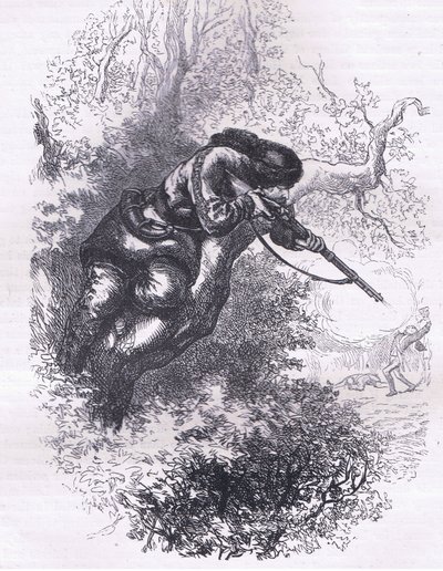 Amerikaanse scherpschutter in een boom, illustratie uit Cassells Geschiedenis van de Verenigde Staten uitgegeven door Cassell, Petter & Galpin, c.1900 door American English school