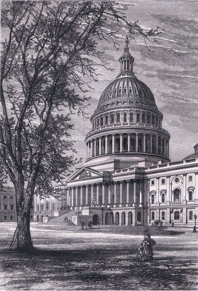 Uitzicht op het Capitool, Washington door American English school
