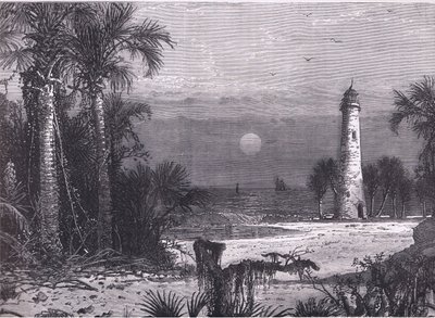 Uitzicht op de kust van Florida, illustratie uit Cassells Geschiedenis van de Verenigde Staten gepubliceerd door Cassell, Petter & Galpin, ca. 1900 (litho) door American English school
