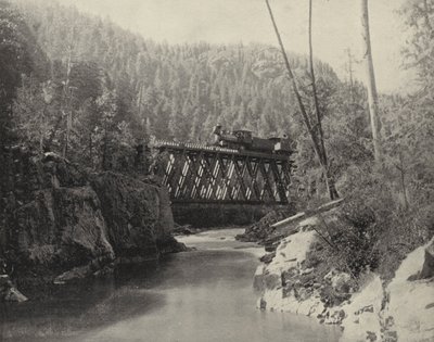 Brug in Animas Canyon, Colorado (zwart-wit foto) door American Photographer (after)