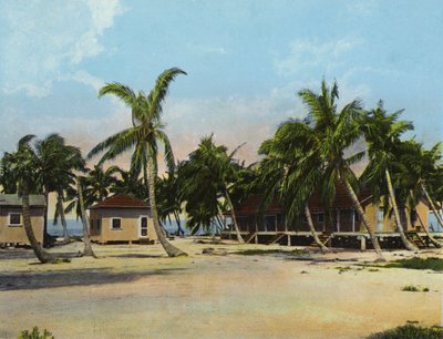 Huisjes bij Long Key Fishing Camp (foto) door American Photographer (after)