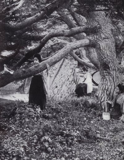 Japanse meisjes tussen de oude pijnbomen naast de oude keizerlijke gracht in Tokio door American Photographer (after)