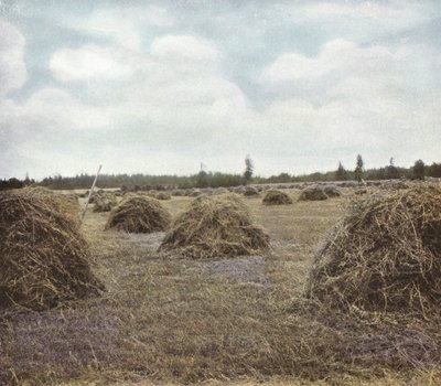 Oregon: Alfalfa door American Photographer (after)