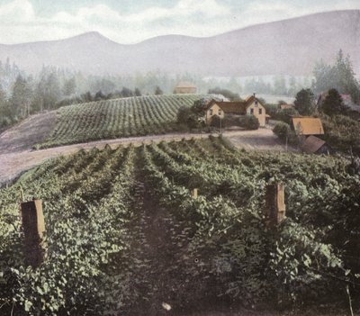 Oregon: Diversificatie Landbouw in Willamette Valley door American Photographer (after)