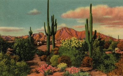 Phoenix, Arizona: Camelback Mountain en Woestijn door American Photographer (after)