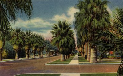 Phoenix, Arizona: North Central Avenue (foto) door American Photographer (after)