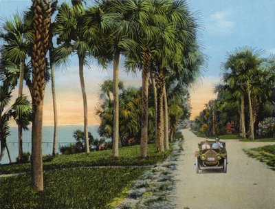 Riverside Drive, Fort Pierce, Florida (foto) door American Photographer (after)