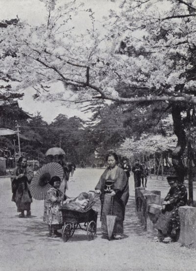 Onder de kersenbloesem in Shiba Park, Tokio door American Photographer (after)