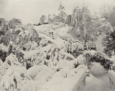 Winterloof op Luna Island (zwart-wit foto) door American Photographer (after)