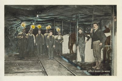 Amerikaanse kolenmijnbouw: Sanitaire muilezelstal in mijn (kleurenfoto) door American Photographer